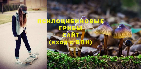 мдпв Вязники