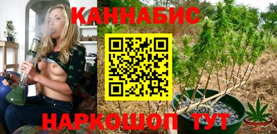 крисы Бийск