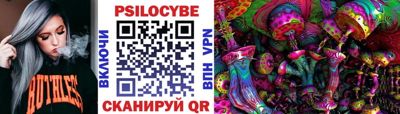 купить наркотики цена  Кашира  Псилоцибиновые грибы Psilocybine cubensis 