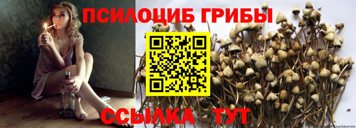 Галлюциногенные грибы мухоморы Кашира