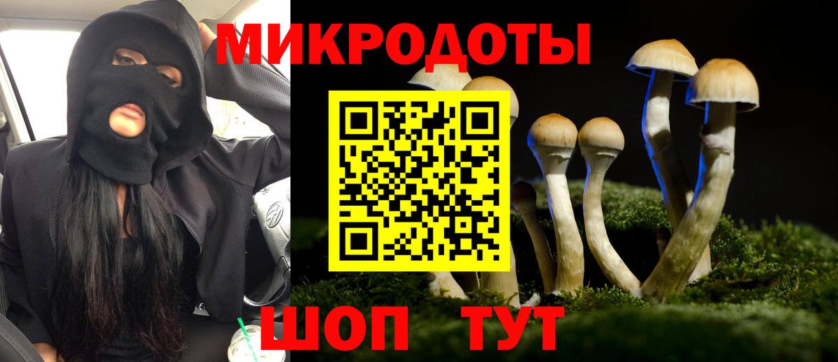 Псилоцибиновые грибы MAGIC MUSHROOMS Кашира