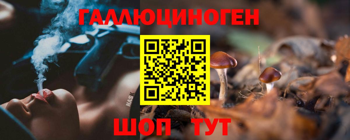 Кашира  Псилоцибиновые грибы Magic Shrooms  Вход с VPN 