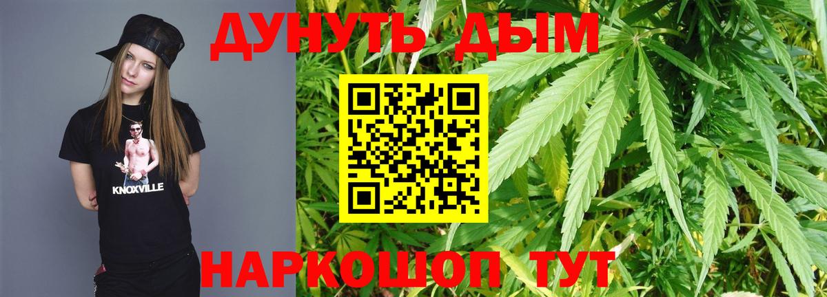 Каннабис White Widow Кашира